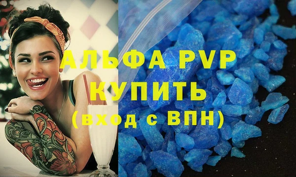 индика Абаза