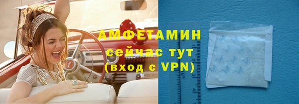 индика Абаза