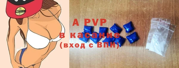 индика Абаза