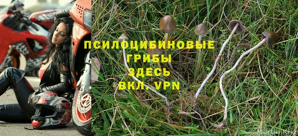 мдпв Абинск