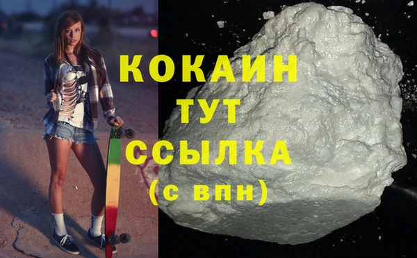 индика Абаза