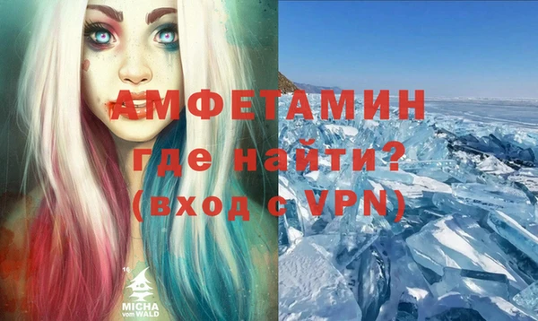 индика Абаза
