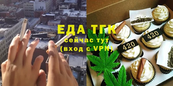 индика Абаза