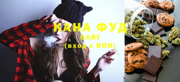 индика Абаза