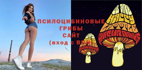 индика Абаза