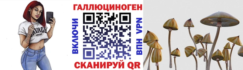 это формула  Балашиха  Галлюциногенные грибы мицелий  сколько стоит 